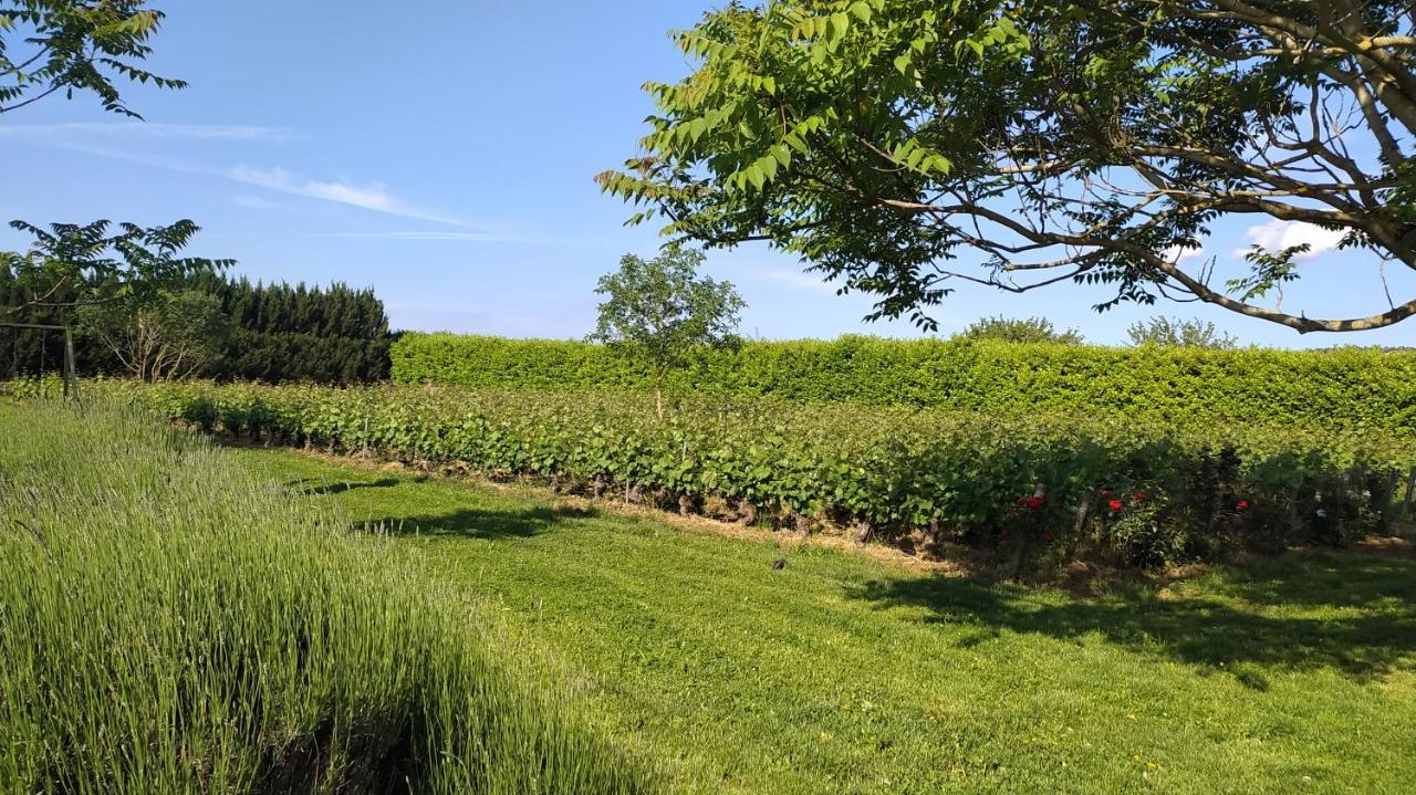 Clos Des Chenevieres, 3 Etoiles Comblanchien Exterior photo